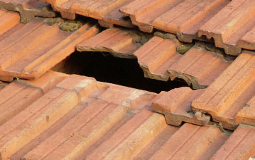 roof repair Newtown